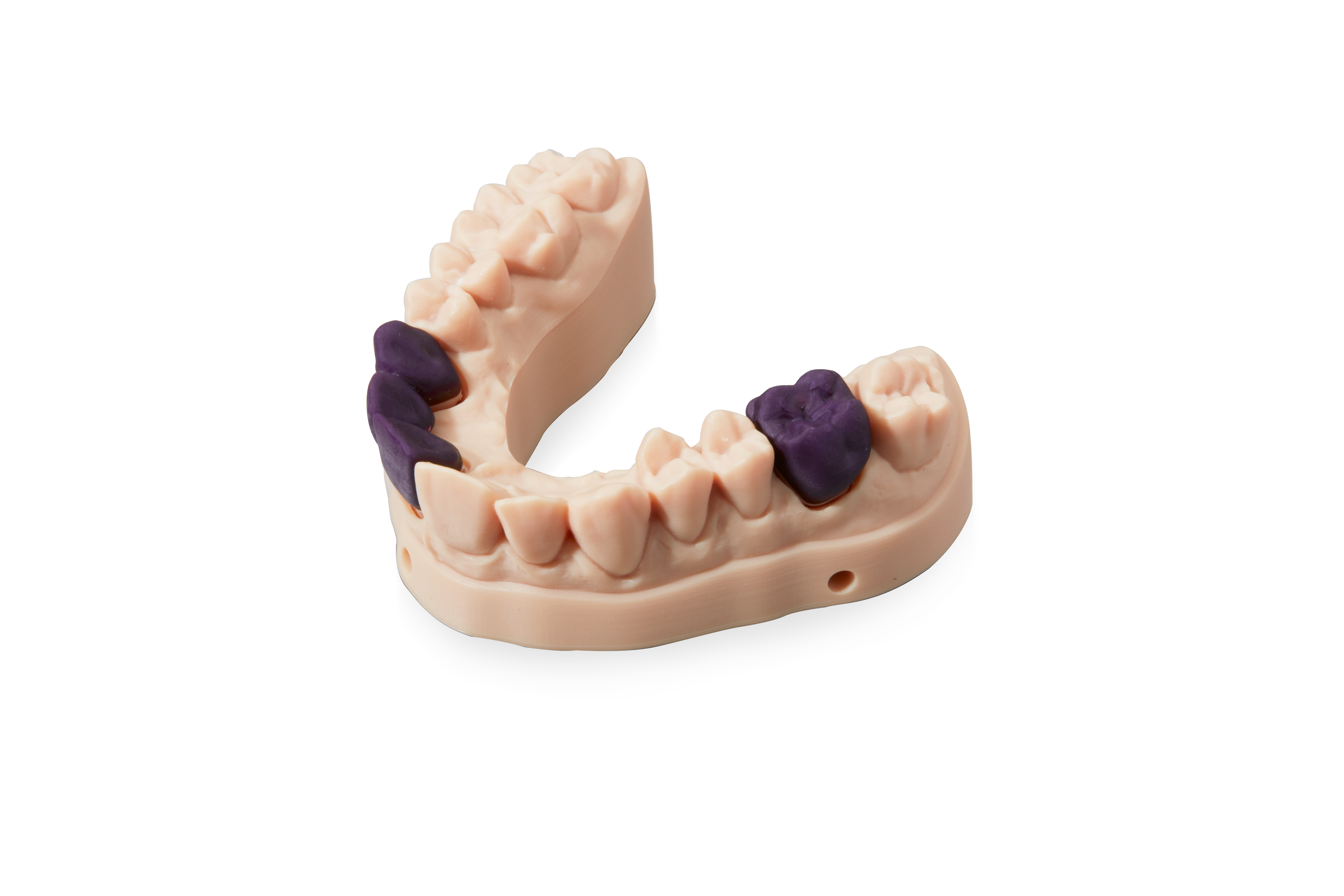Formlabs Formlabs Dental 树脂线
