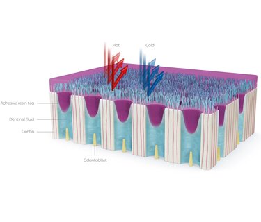 Ivoclar 3D Printing Materials