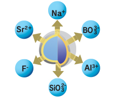Shofu About Giomer