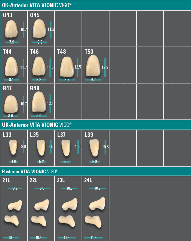 VITA VITA VIONIC VIGO®