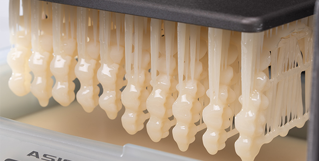 VITA VITA VIONIC® DENT RESIN