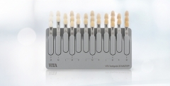 VITA VITAVM®CC